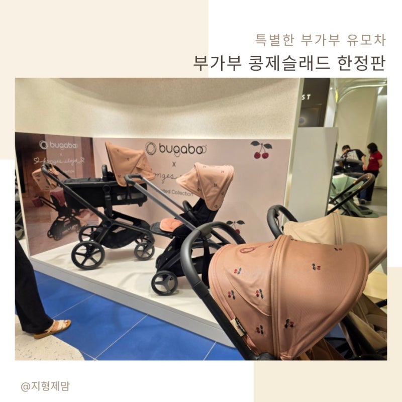 특별한 유모차 부가부 콩제슬래드 한정판 체리 프린트
