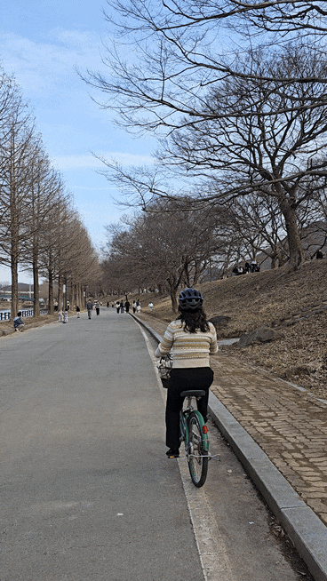  전남 담양 여행 3 담양 LP 음악 충전소, 담양군청 자전거 대여, 메타쉐쿼이아가로수길