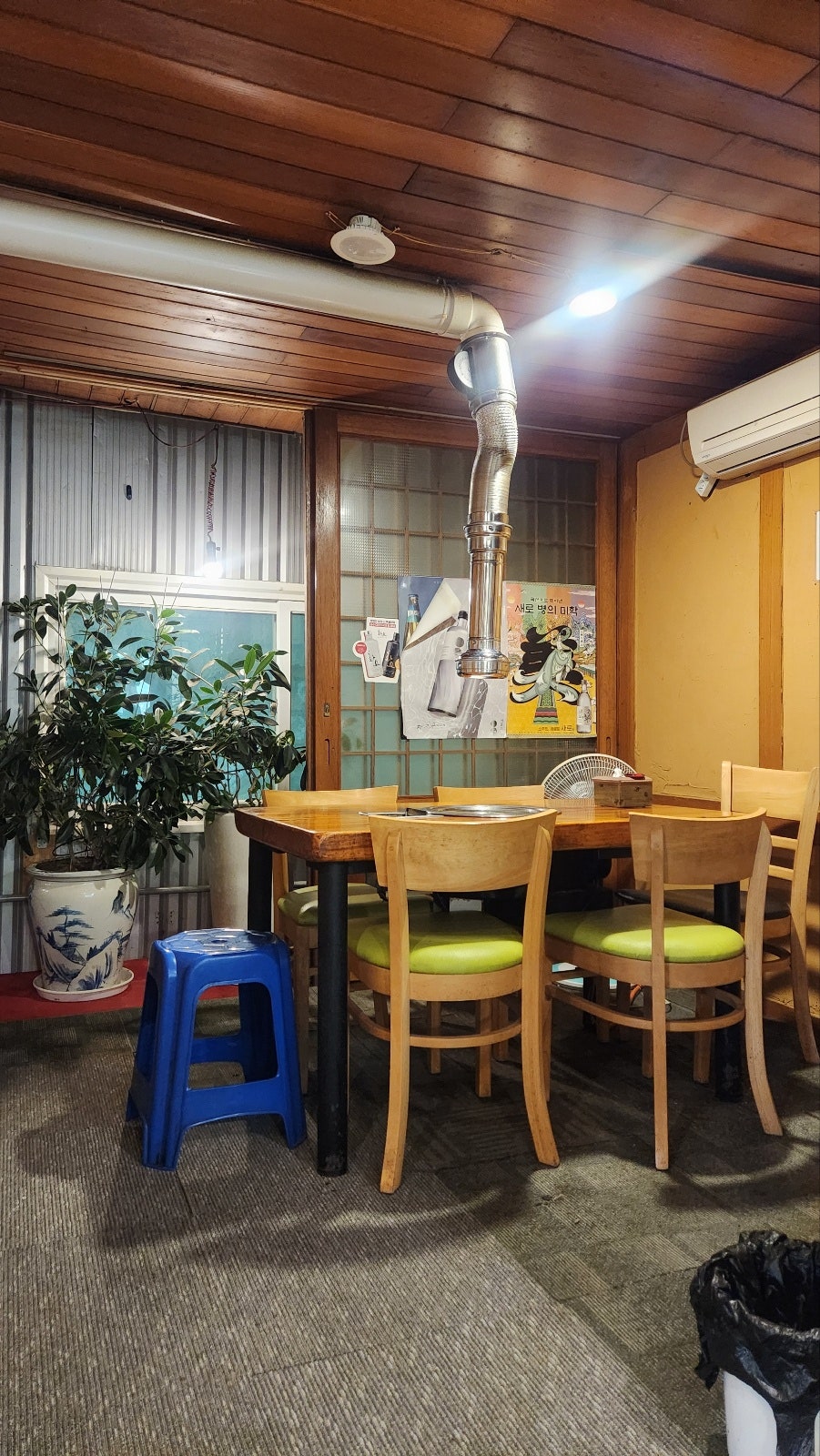 황금장어 사진 3