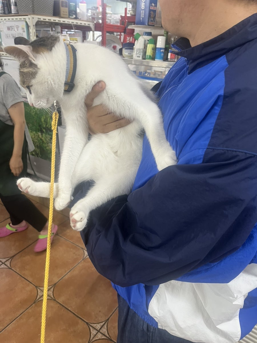 수목원삼계탕 사진 6