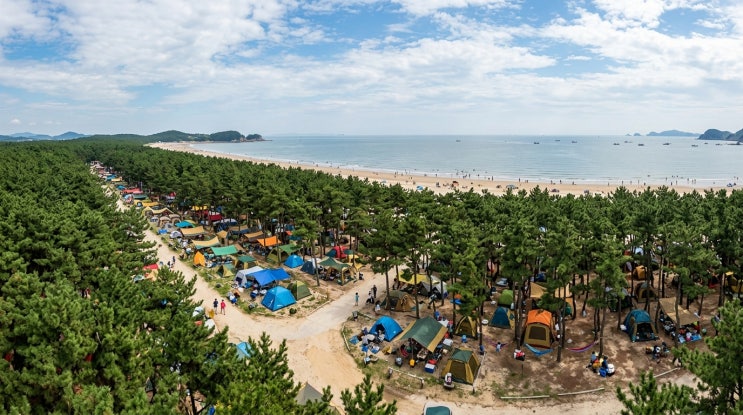 2026 서천 춘장대해수욕장 여름 가이드 | 춘장대 솔밭 캠핑장 명당 + 서천 해산물 물회 미식 코스