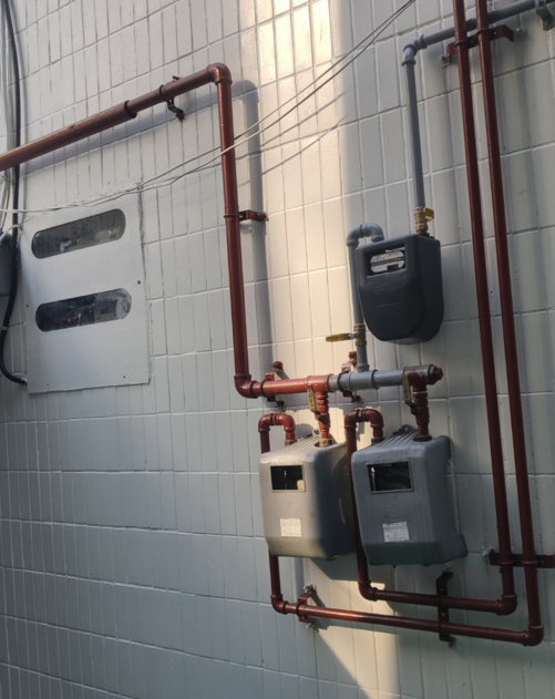 빌리노 사진 5