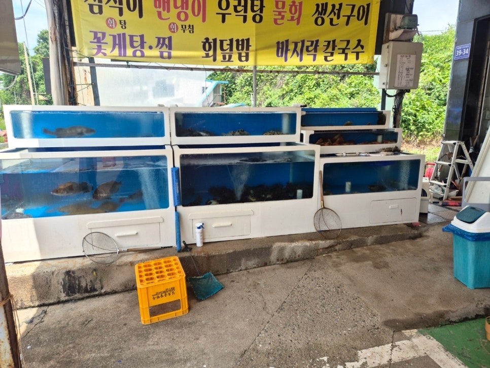 영광횟집 사진 3
