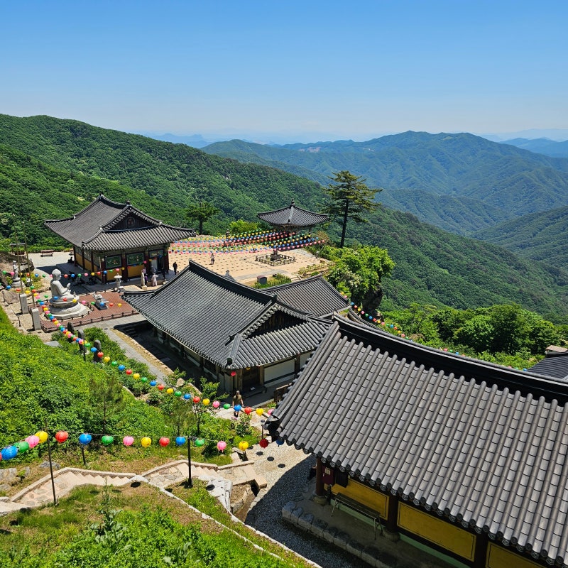 치악산 등산코스 상원사 최단코스 등산 초보 추천 여름 산행지