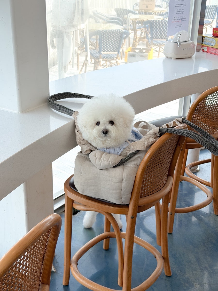 서해랑83 사진 6