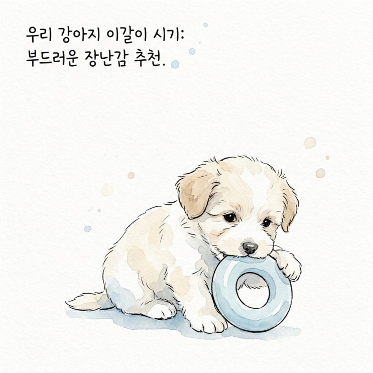  강아지 이갈이 언제 시작될까? 생후 개월별 치아 변화 정리