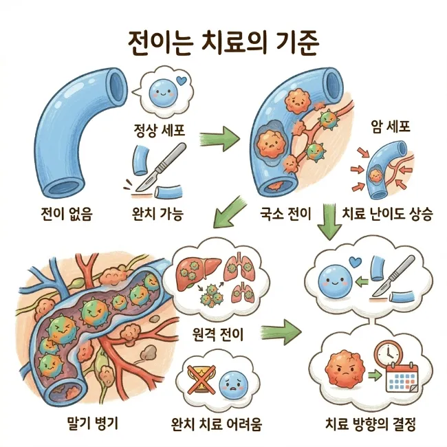 담도암 전이 총정리 / 림프절·간·폐로 퍼지는 과정과 치료가 달라지는 이유