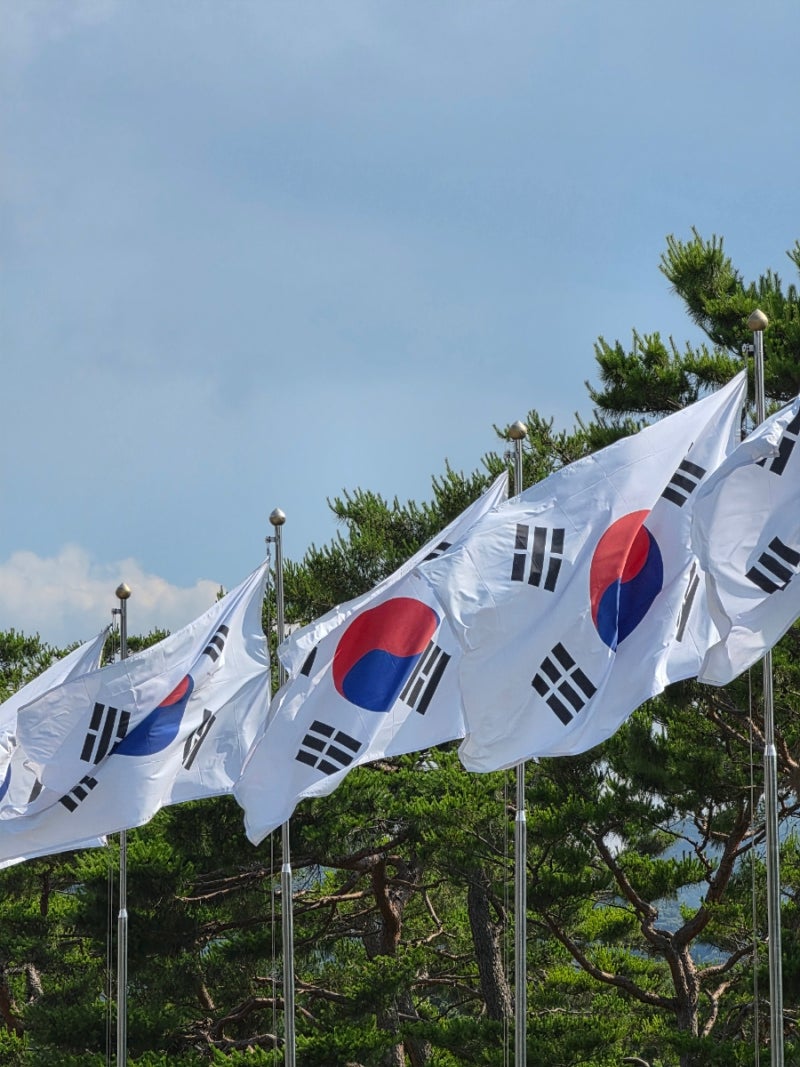 [현충원둘레길] 대전 트레일러닝 입문하기 좋은 곳
