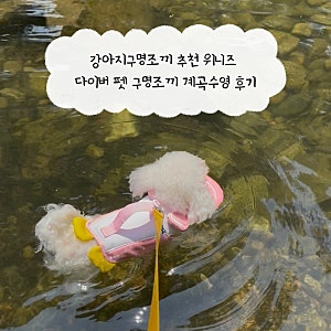 강아지구명조끼 추천 위니즈 다이버 펫 구명조끼 계곡수영 후기
