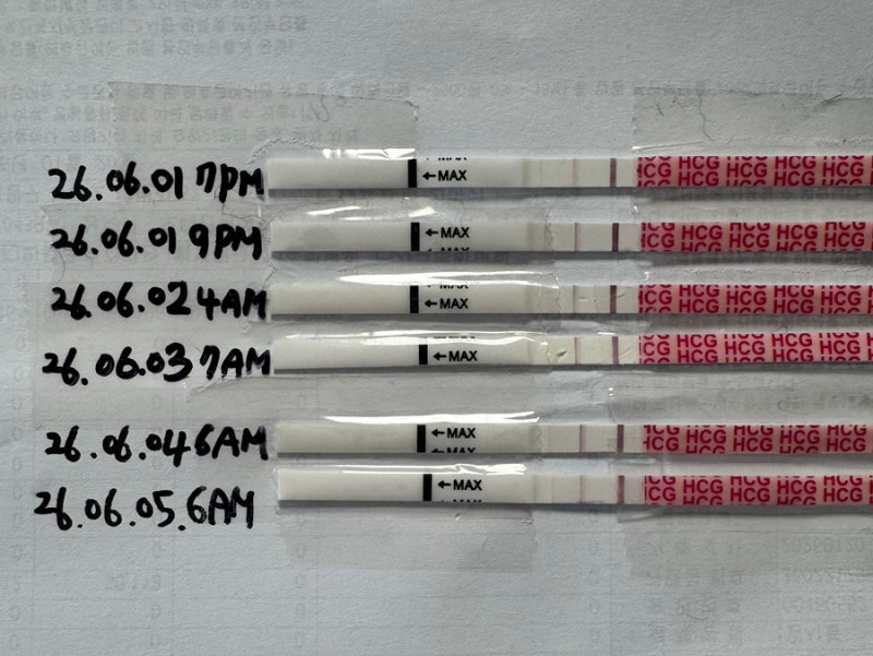 난임 일기 2 (임테기 진하기 더딤 , 화유 증상, 화학적 유산)