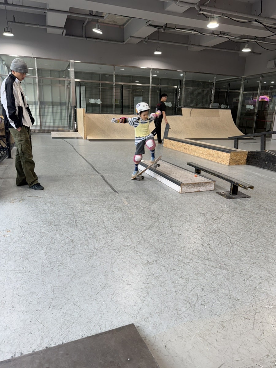 돼야지 사진 5