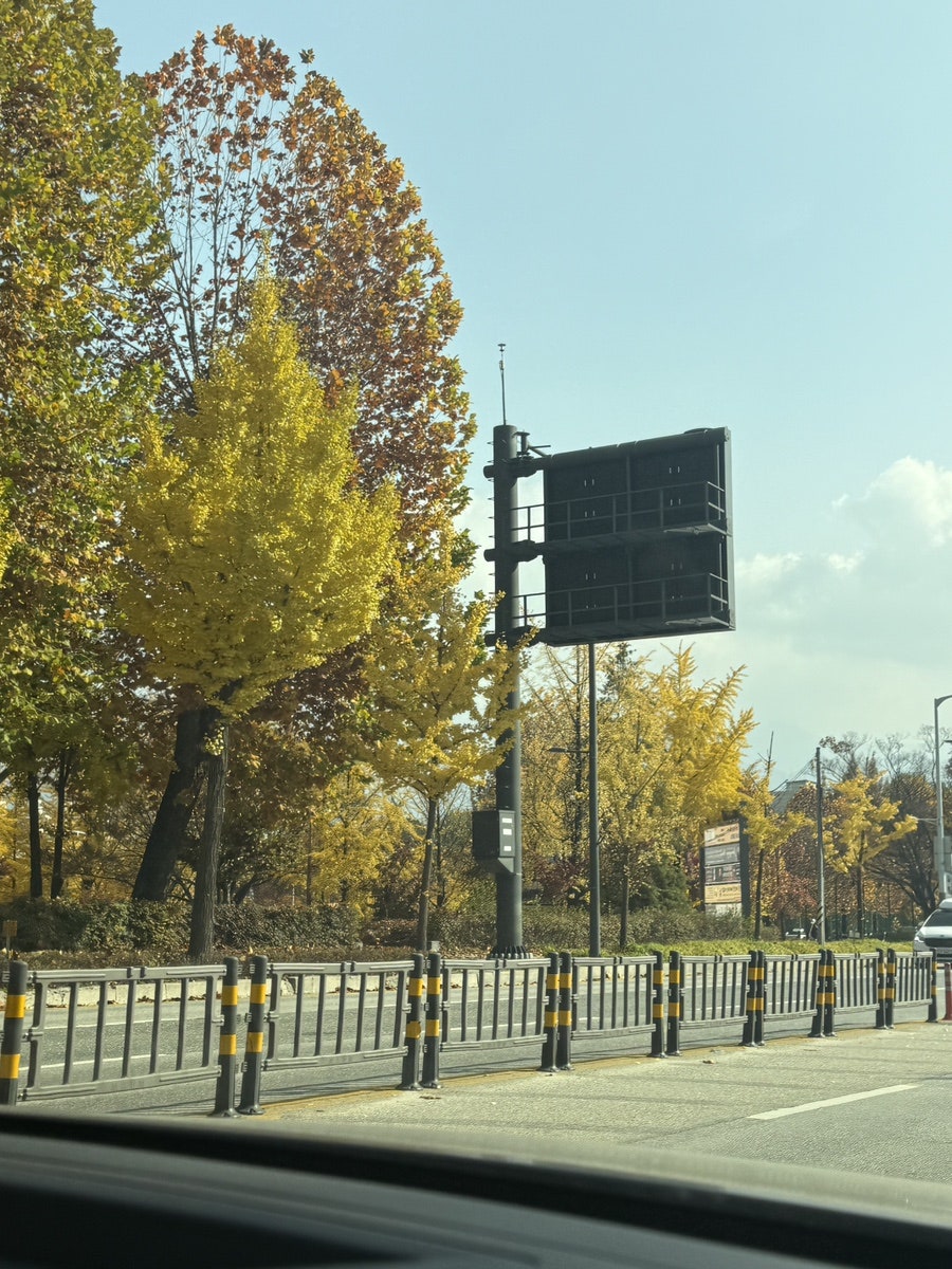 캄파슬로우 사진 3