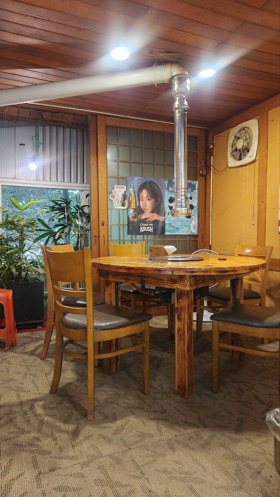 황금장어 사진 4