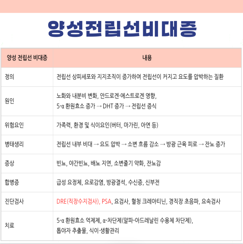 양성전립선비대증 뜻 의학용어 원인 병태생리 증상 합병증 검사 치료 관리 방법