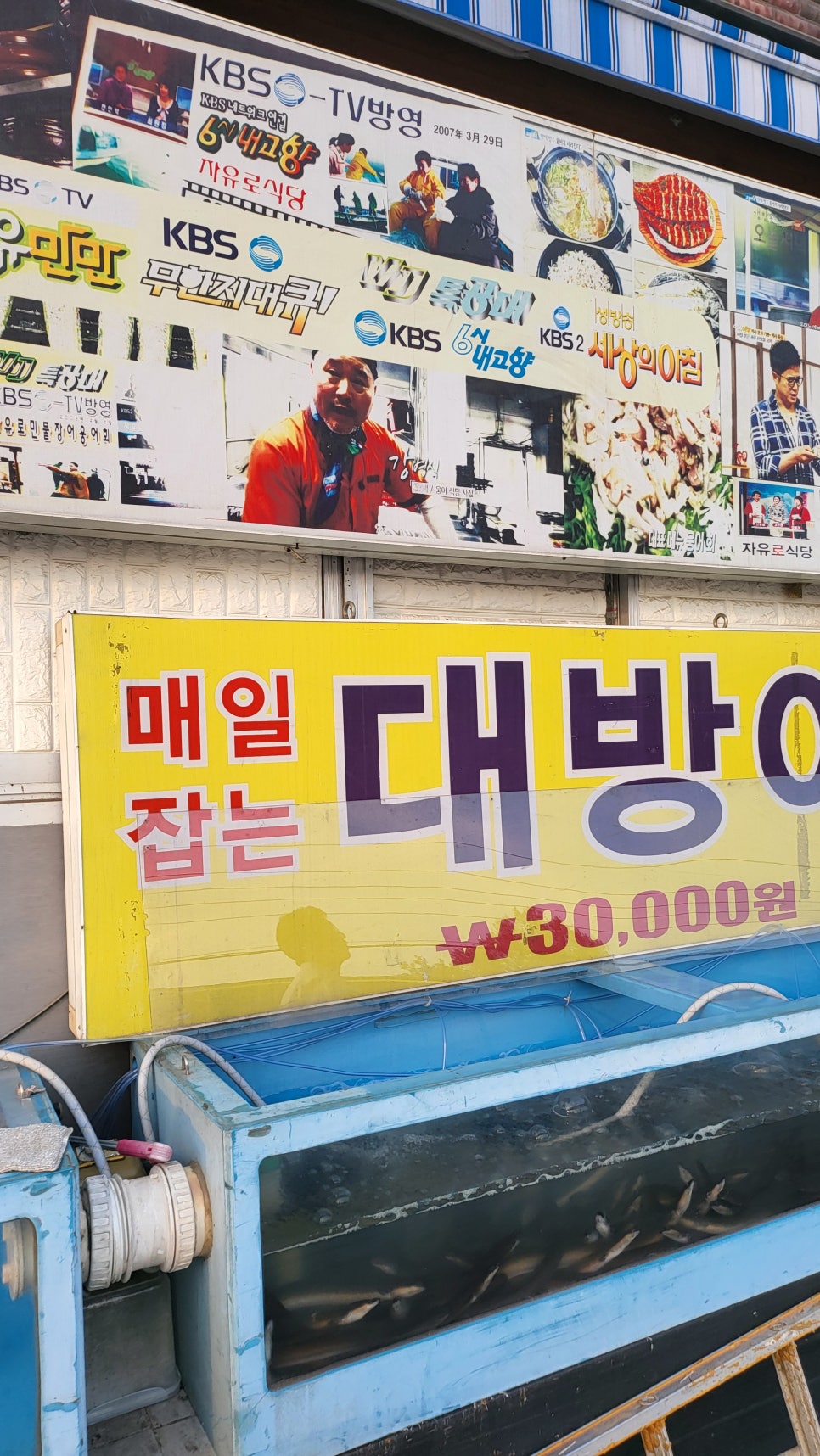 자유로민물장어웅어회 사진 1