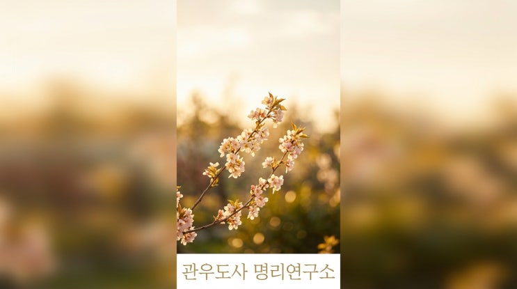  결혼운 좋은 여자 사주 특징 7가지, 좋은 배우자를 만나 평생 사랑받는 사람의 사주 구조 총정리