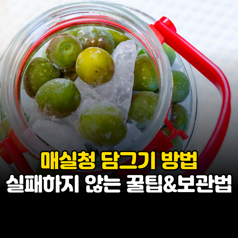 매실청 담그기 방법 실패하지 않는 꿀팁과 오래 보관하는 법
