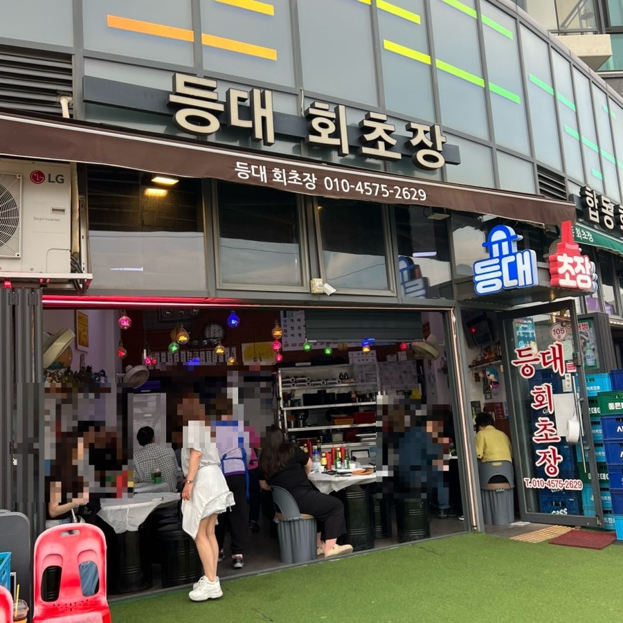등대회초장 사진 2