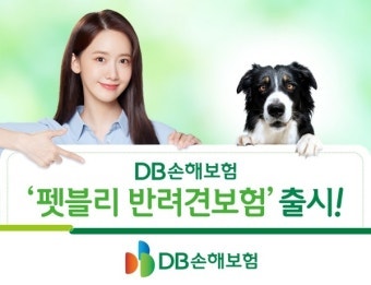 업계최소 반려동물 횟수제한 없는 펫보험 나왔다! DB손해보험 '올라 펫보험'