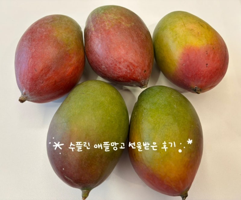수플린 애플망고 네이버 선물하기로 받은 솔직후기