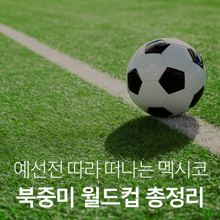 <b>과달라하라</b>&몬테레이로 떠나는 멕시코 여행 가이드