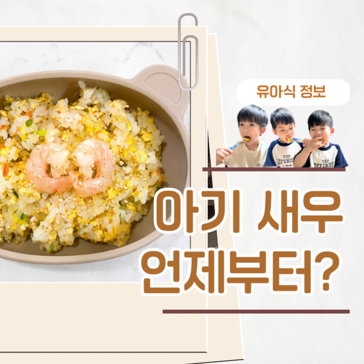  아기 새우 언제부터 알러지 섭취량 주의사항 완벽정리