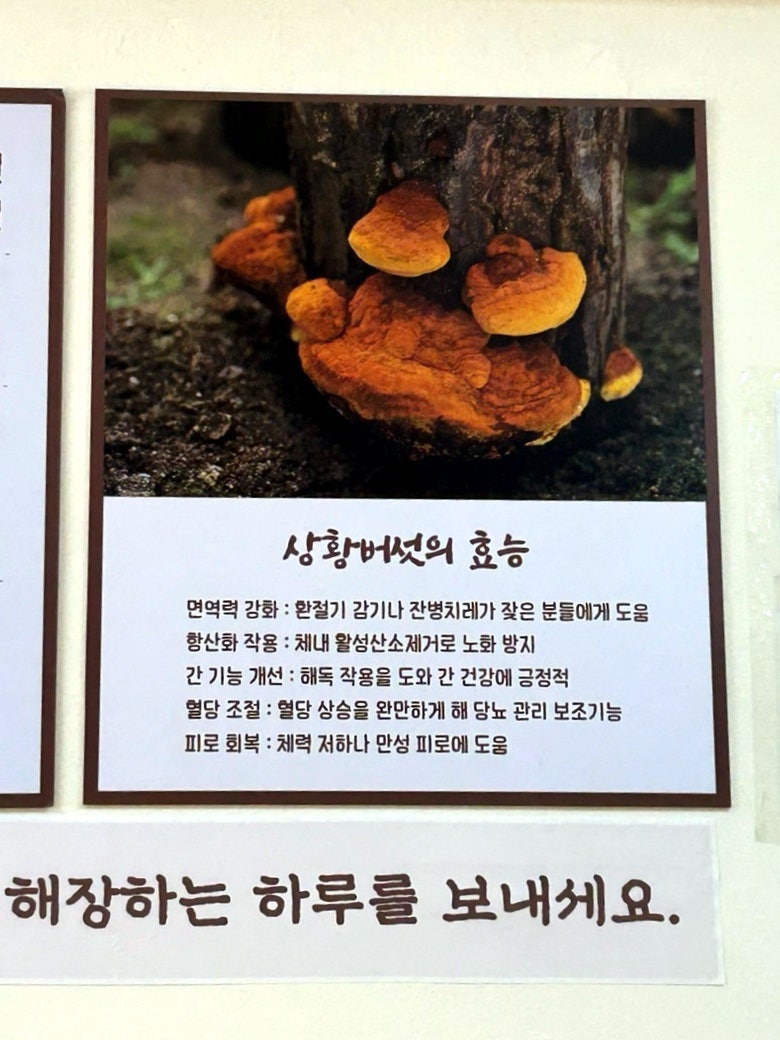 하루곰탕 사진 6