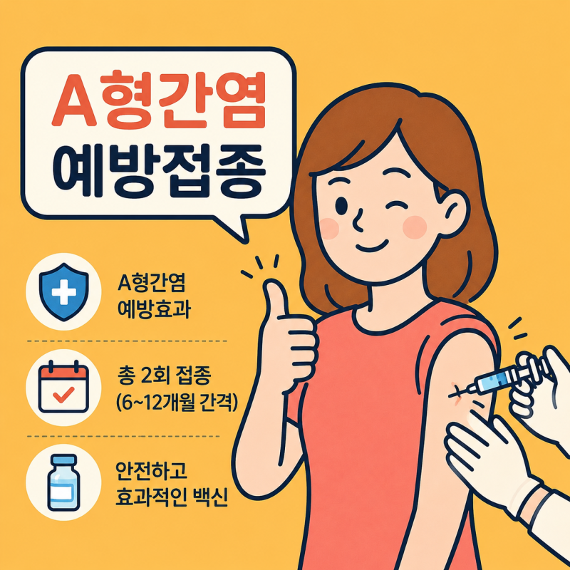 간호사가 알려주는 A형간염 예방접종 총정리｜직장인 검진결과·접종주기·주의사항까지