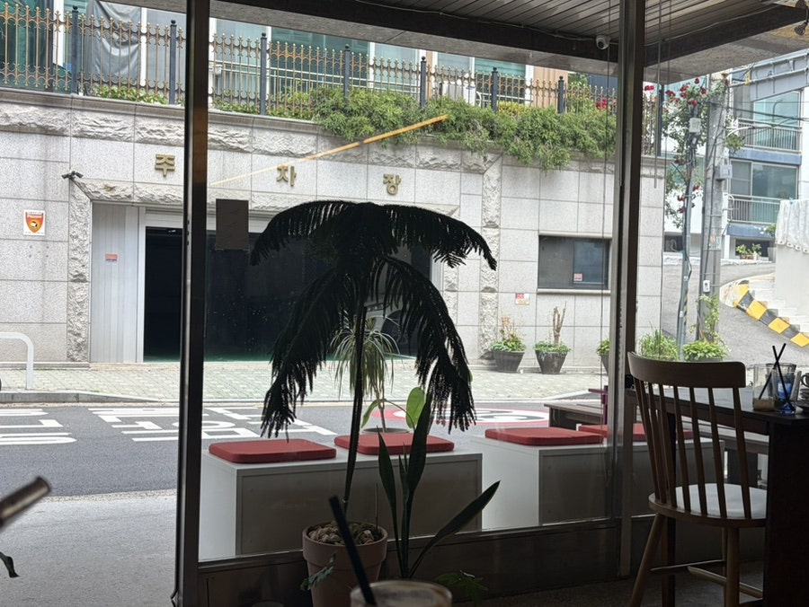 늄 사진 4