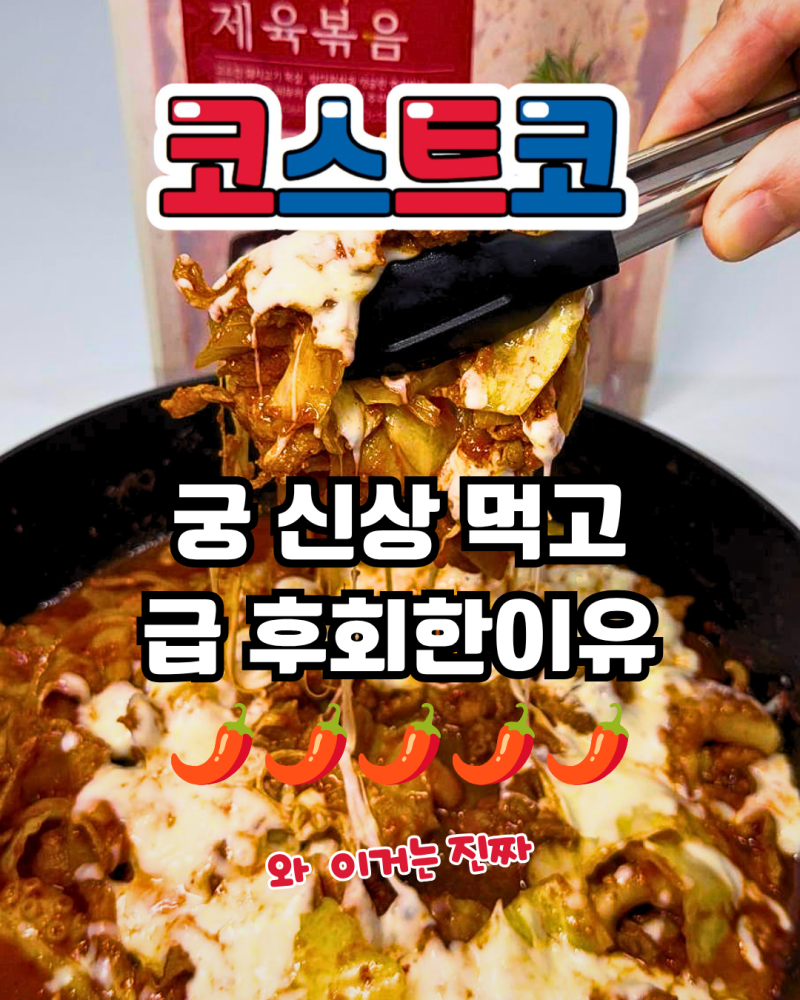 코스트코 신상 ‘소문난 쭈꾸미 제육볶음’ 솔직 후기! 맵찔이는 절대 도전 금지?