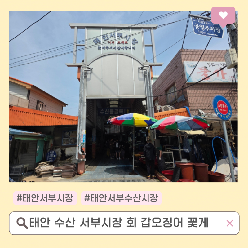 태안서부시장 태안수산시장 회포장 아이미수산 꽃게 갑오징어