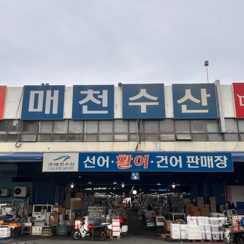 대구 매천시장 수산시장 대게 꽃게 해산물 시세 식당 정보
