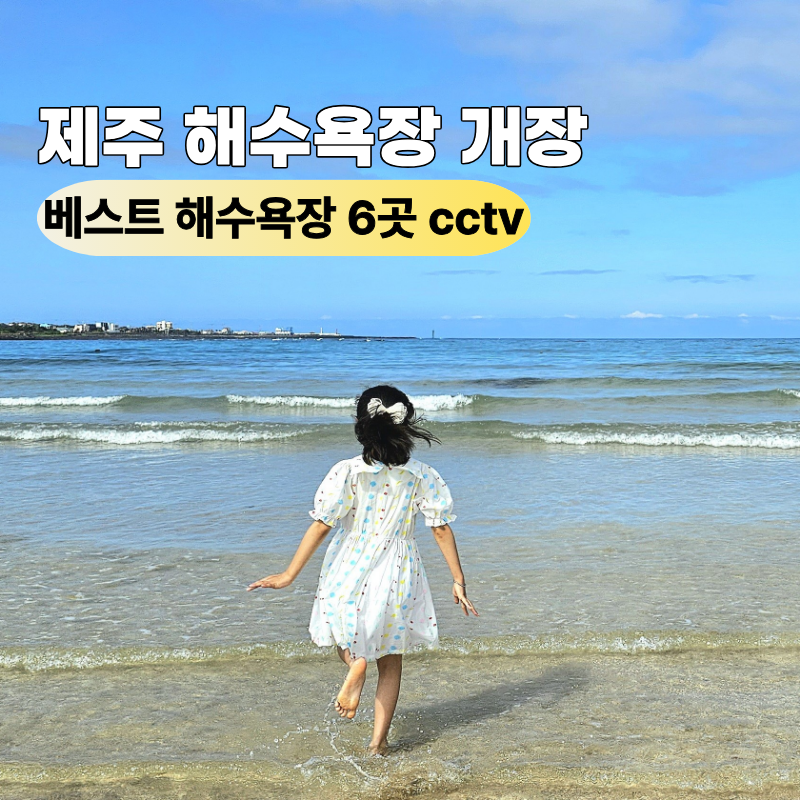 2026 제주도 해수욕장 개장일 아이와 놀기 좋은 베스트 6곳 cctv 실시간 사이트
