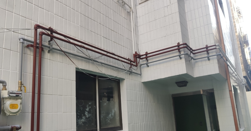 빌리노 사진 6
