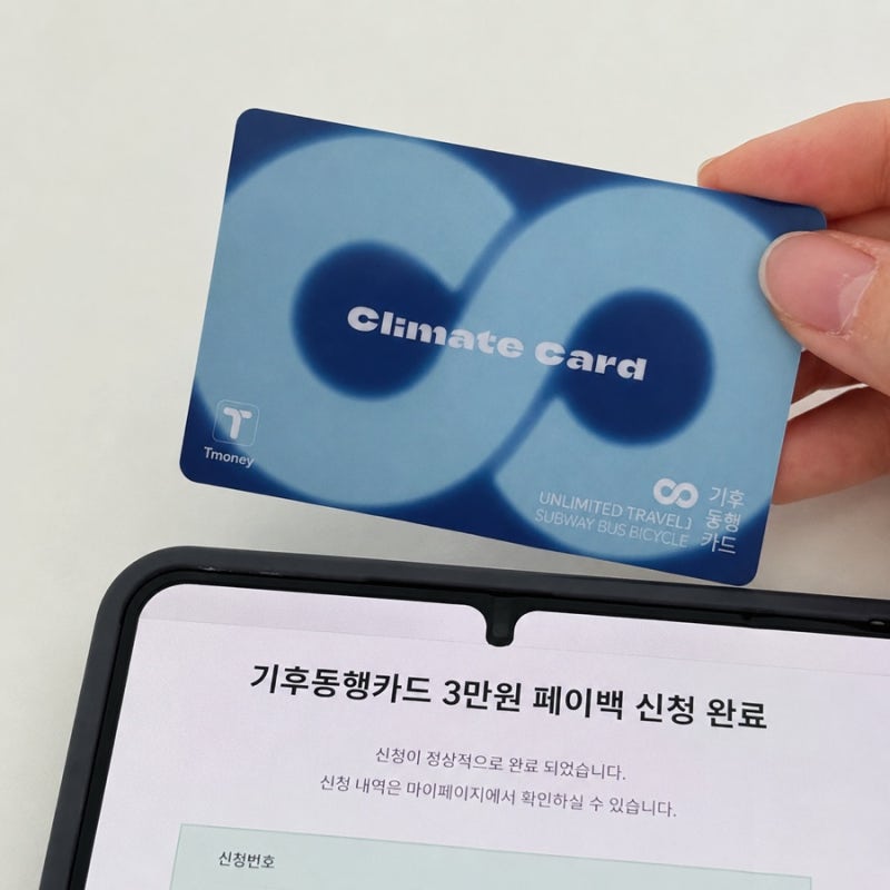 티머니 카드&페이 기후동행카드 3만원 페이백 오류 해결 방법