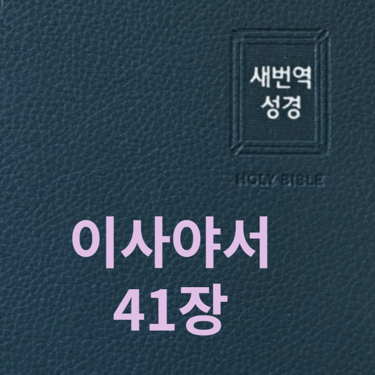  이사야서 41장