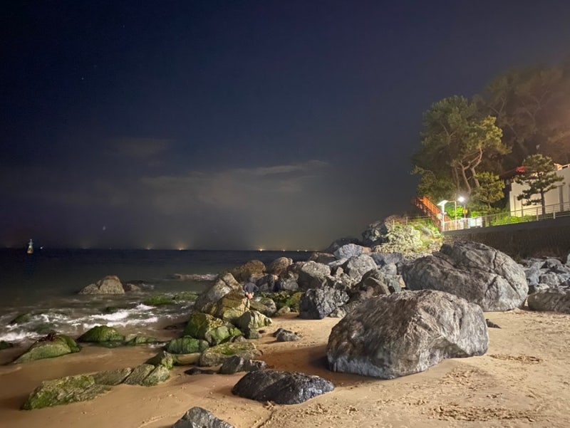 Busan Haeundae Beach Opening Date | Real-time Foot Wash, Foot Bath, Shower Booths, Lockers, Hydrangeas