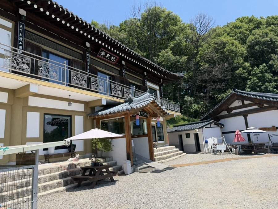 도립애경사났네 사진 2