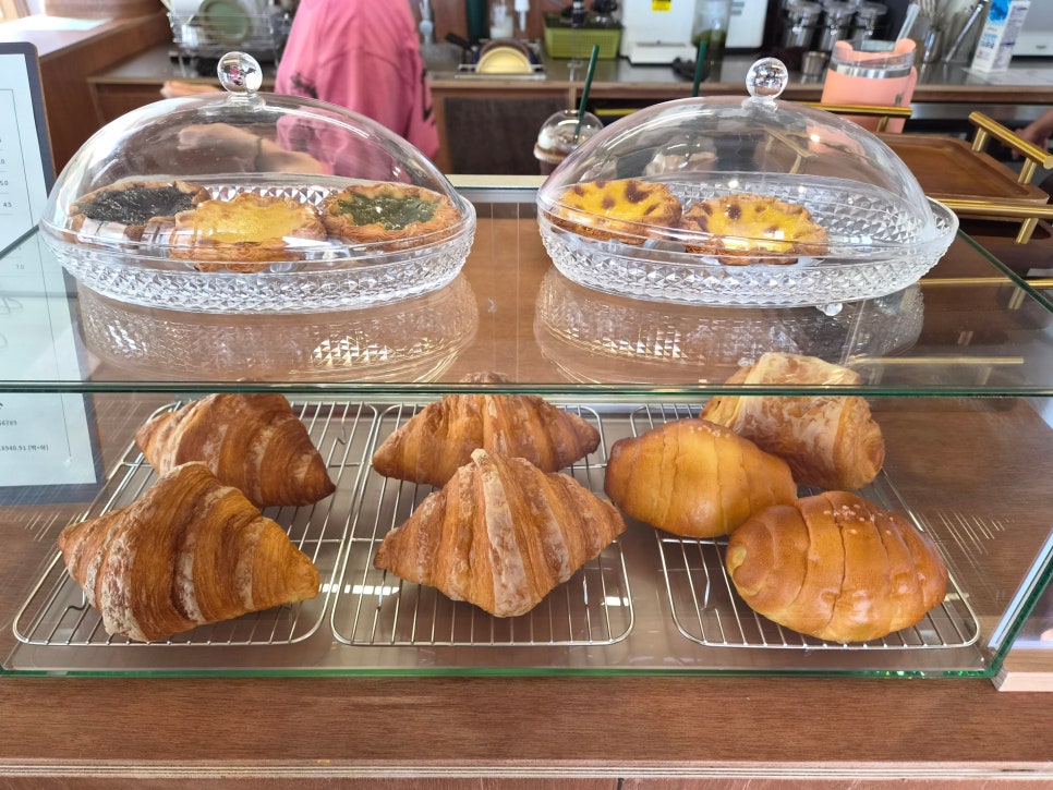 모루티 사진 6