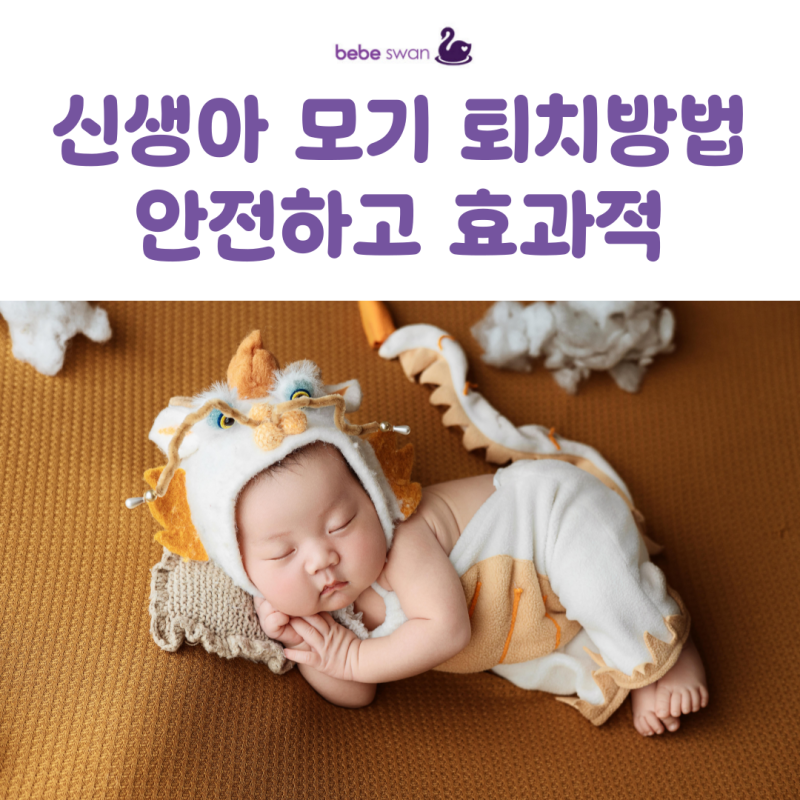 신생아 모기 퇴치방법 안전하고 효과적인 가이드