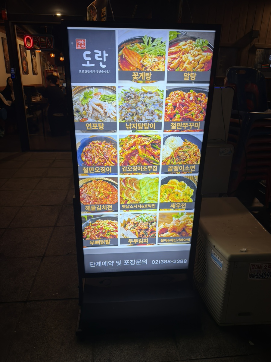 도란 사진 2