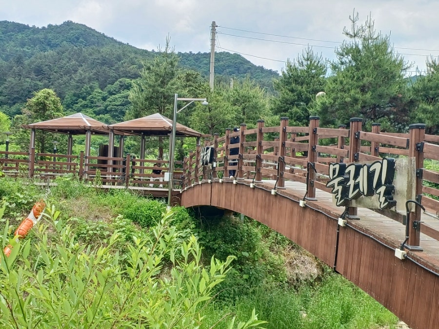 한수제 물레길 사진 6