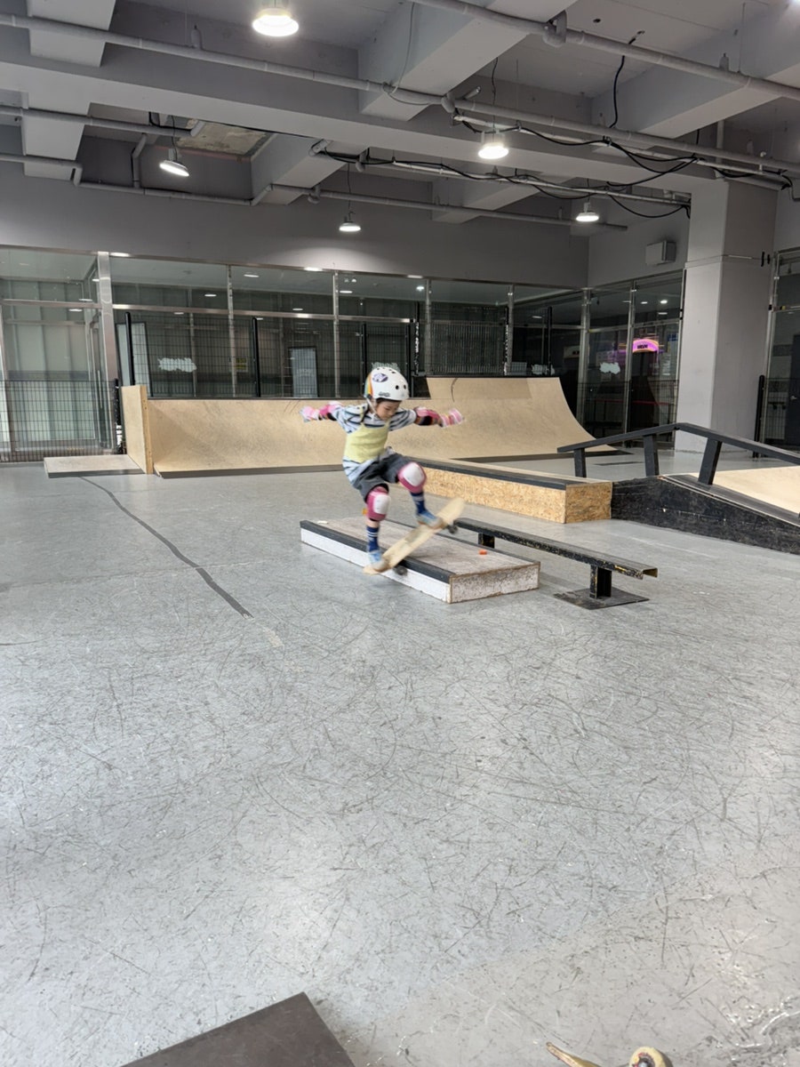 돼야지 사진 6