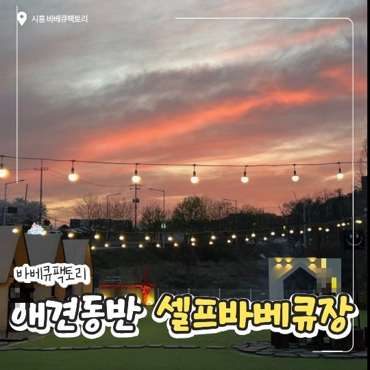 시흥 바베큐팩토리 거북섬점 애견동반 셀프바베큐장 후기