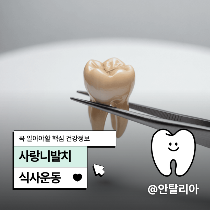 사랑니발치후식사·운동·통증 관리 한눈에 정리!