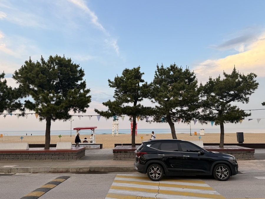 돌고래횟집 사진 3