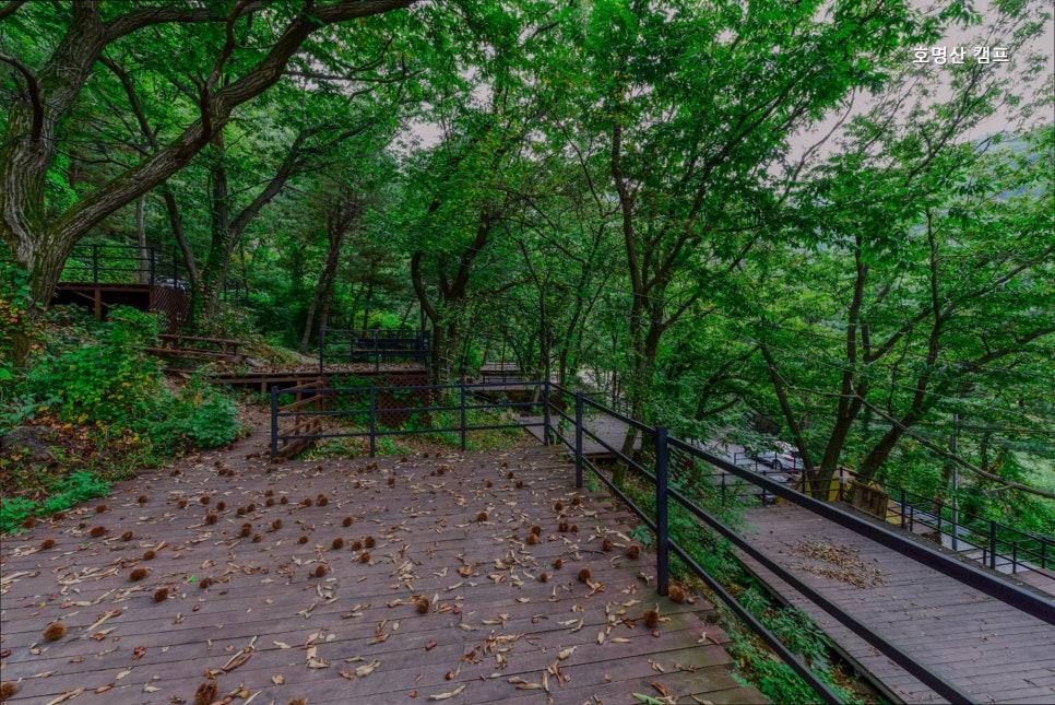 호명산캠프 사진 4