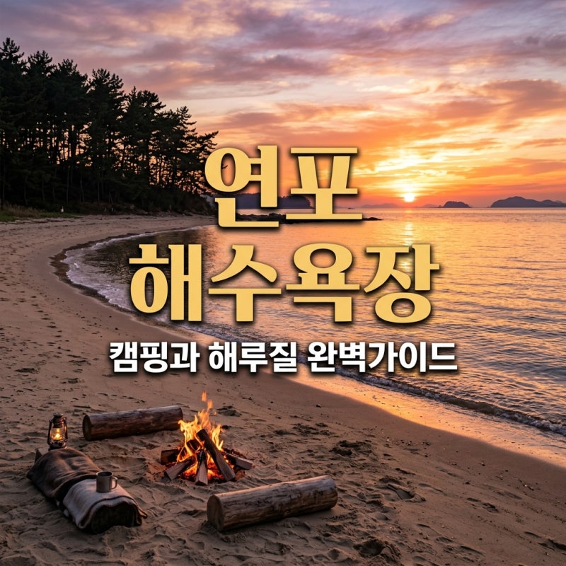 연포 해수욕장 완벽 가이드: 캠핑 해루질부터 펜션 맛집까지 총정리