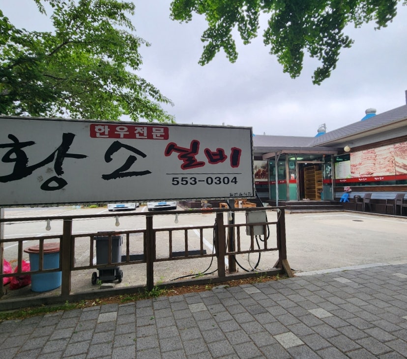 황소실비 사진 5