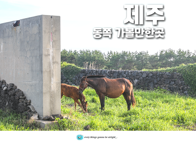 제주 동쪽 가볼만한곳 섭지코지 성산일출봉 <b>광치기해변</b>